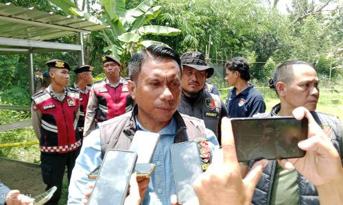 WhatsApp Image 2025-10-09 at 19.31.02 (1)