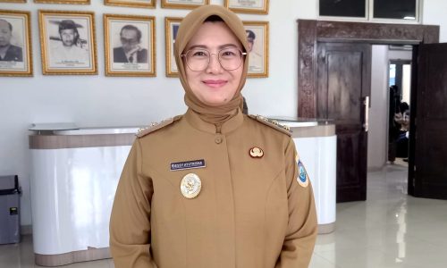 WhatsApp Image 2025-10-20 at 18.12.31