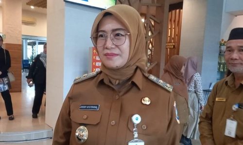 WhatsApp Image 2025-10-21 at 12.48.10