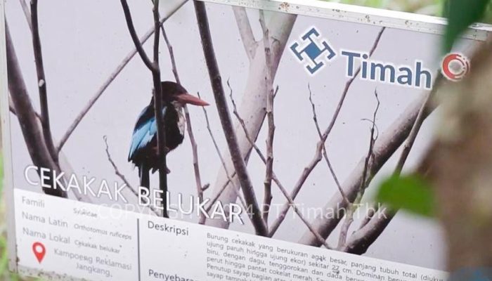 PT Timah Aktif Mendukung Upaya Penyelamatan Satwa Liar