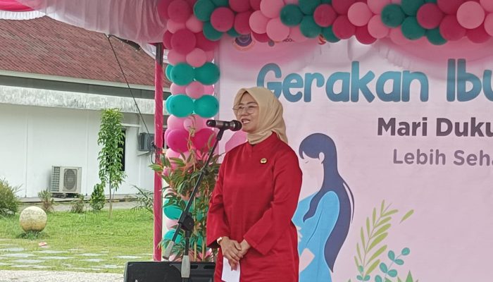 Wawako Sebut Pentingnya Gerakan Ibu Hamil Sehat