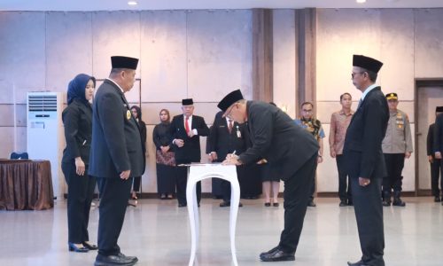 WhatsApp Image 2025-11-14 at 12.59.44