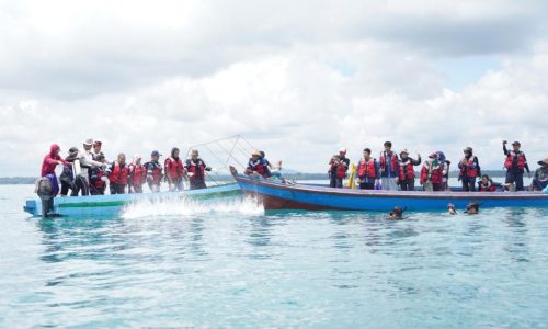 PT TIMAH Konsisten Laksanakan Reklamasi Hingga Rehabilitasi Mangrove