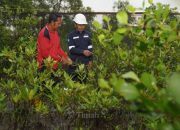 Bukti PT TIMAH Konsisten Dorong Pelestarian Lingkungan