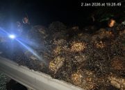 Buronan Kasus Pencurian Buah Sawit Ditangkap Polsek Kelapa