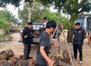 Polsek Tempilang Amankan Terduga Pelaku Pencuri Buah Sawit