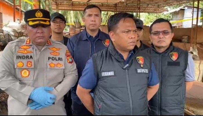 Harga Timah di Pasar Gelap Malaysia Mencapai Rp.900.000