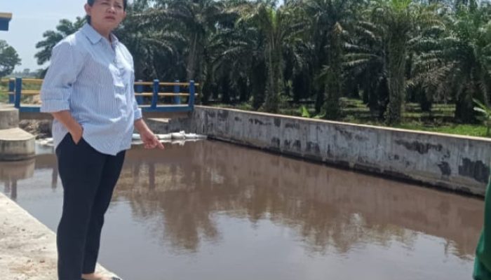 Rina Tarol Desak Kejaksaan Turun Tangan