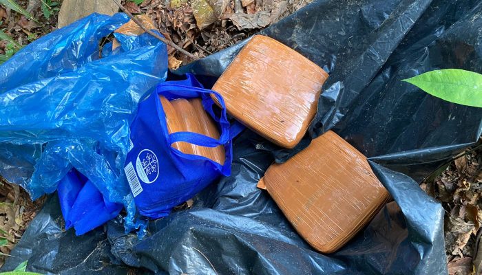 Ganja Tak Bertuan Ditemukan di Kebun Sawit