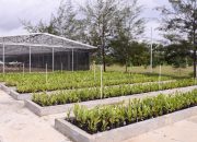 Reklamasi Ratusan Hektar Lahan Pasca Tambang