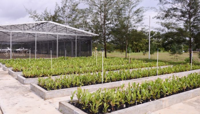 Reklamasi Ratusan Hektar Lahan Pasca Tambang