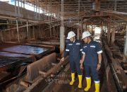 TINS Bukukan Laba Bersih Rp1,31 Triliun