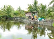 Kisah Inspiratif Mahendra, Berhasil Tingkatkan Produktivitas Hasil Budidaya Ikan