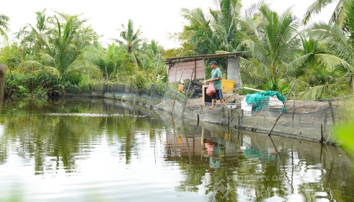 Kisah Inspiratif Mahendra, Berhasil Tingkatkan Produktivitas Hasil Budidaya Ikan