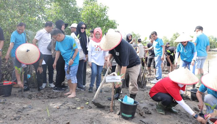 Hidayat Arsani Pimpin Aksi Sosial dan Penanaman Mangrove