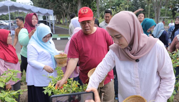 Gubernur Dorong Pengendalian Inflasi Melalui Gerakan Tanam Cabai