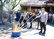 Narkotika Jenis Sabu Hingga Ganja Dimusnahkan