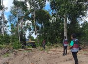 Aktivitas Tambang Ilegal Ditemukan di Kawasan Hutan Produksi