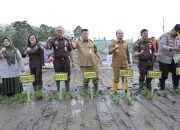 Penanaman Padi Program Ketahanan Pangan Desa Adhyaksa 2026 di Desa Namang