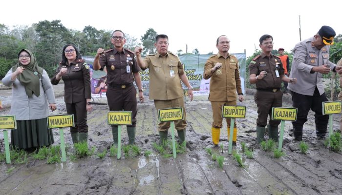 Penanaman Padi Program Ketahanan Pangan Desa Adhyaksa 2026 di Desa Namang