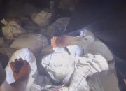 Puluhan Karung Timah Ditemukan di Sela Bebatuan