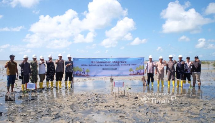 Jaga Alam Lewat Penanaman Mangrove