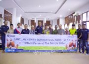 PT TIMAH Kembali Distribusikan Puluhan Ekor Hewan Kurban
