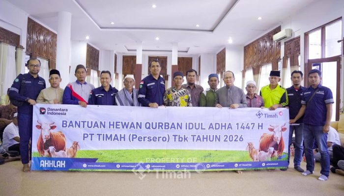 PT TIMAH Kembali Distribusikan Puluhan Ekor Hewan Kurban