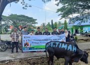 PT TIMAH Konsisten Berbagi Hewan Kurban