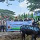 PT TIMAH Konsisten Berbagi Hewan Kurban