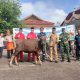 Momen Iduladha dan HUT ke-23 Kabupaten Bangka Barat