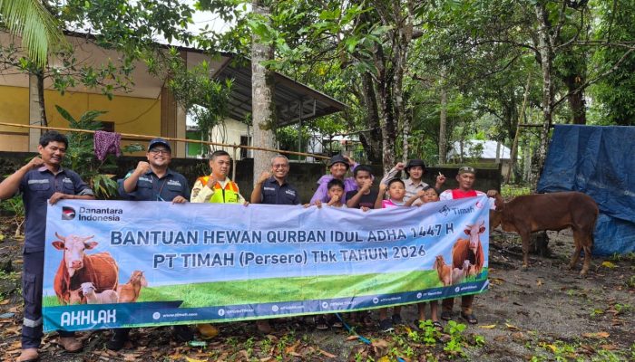 Puluhan Sapi Kurban Dibagikan di Pulau Belitung