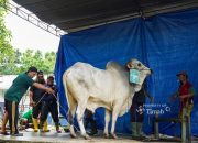 Kebersamaan Idul Adha di Komplek PT TIMAH