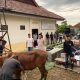 Polres Bangka Potong 4 Sapi dan 4 Kambing