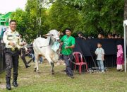 Salurkan Ratusan Hewan Kurban di Momen Idul Adha