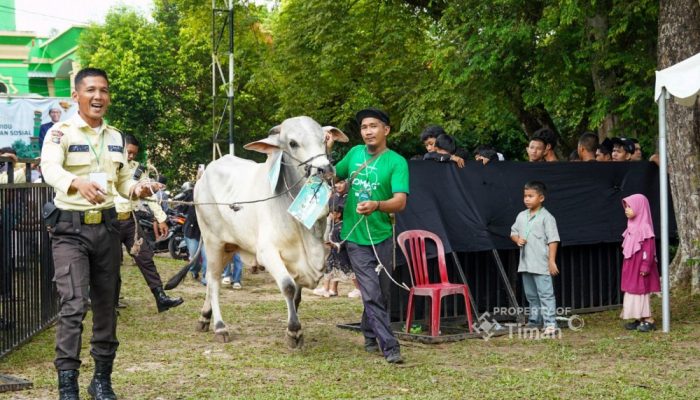 Salurkan Ratusan Hewan Kurban di Momen Idul Adha