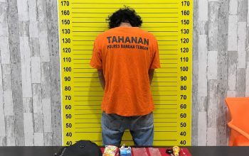 Ucil Dibekuk di Kebun Sawit