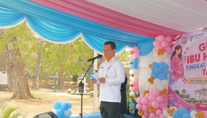 Upaya Meningkatkan Kesehatan Ibu Hamil