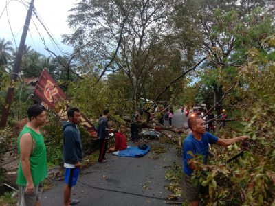 Jalan Minim Penerangan, Pemotor Tabrak Pohon Tumbang