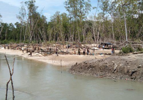 Miris, 5 Hektare Hutan Mangrove Belo Laut Rusak Akibat Tambang Ilegal