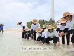 Tukik dan Mangrove Untuk Kelestarian Laut Belitung